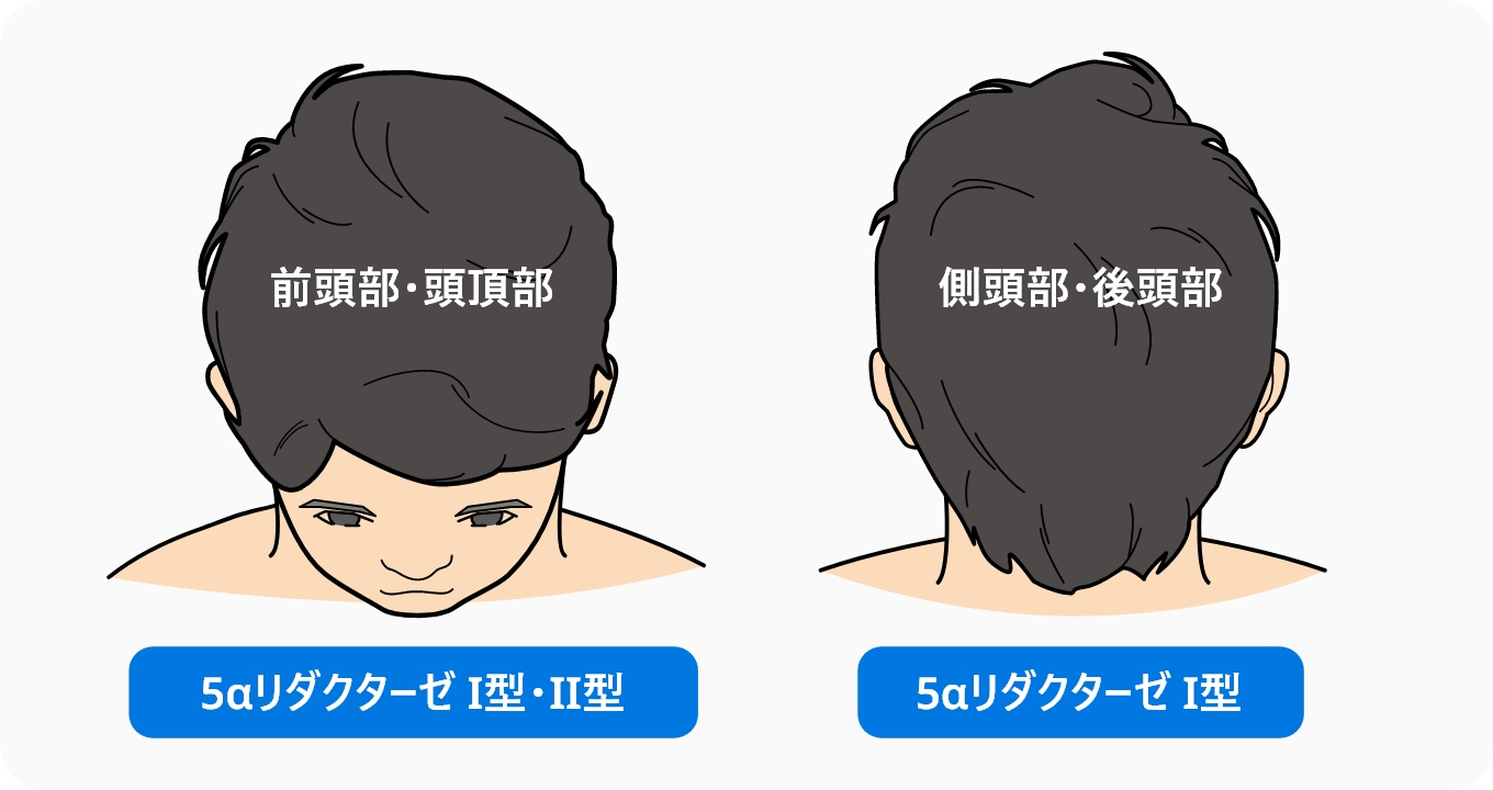 作用する型が違う