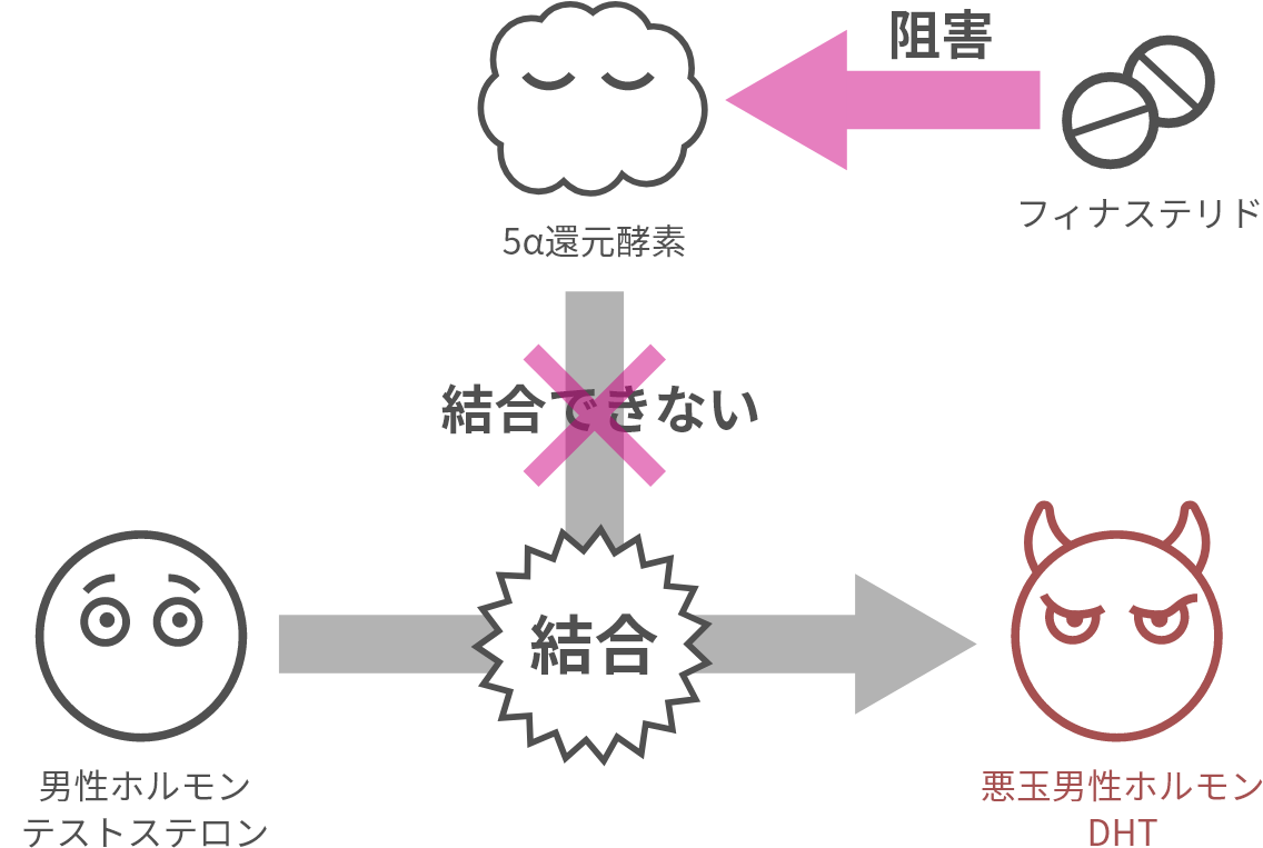 フィナステリドの作用