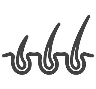 ヘアサイクル（毛周期）とは？