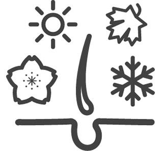 抜け毛と季節の関係