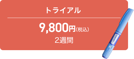 トライアル 25,000円 2週間