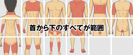 首から下のすべてが範囲