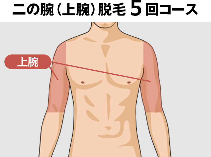 二の腕(上腕)の脱毛料金
