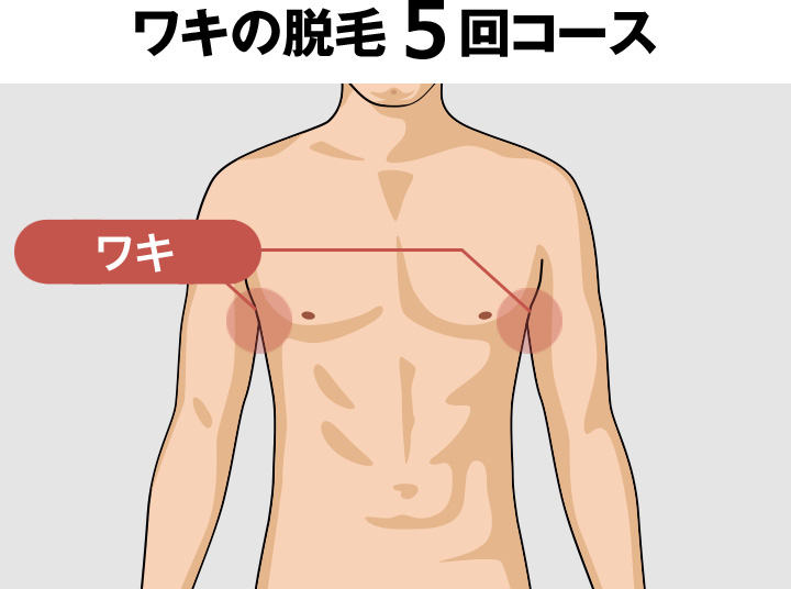 脇(ワキ)の脱毛料金