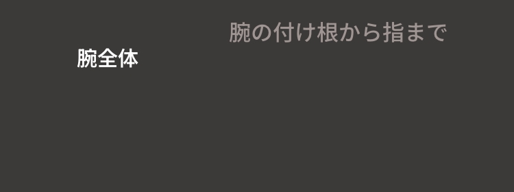 ゴリラクリニックの腕全体脱毛 1回トライアル158,800円