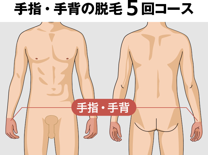 手背・手指の脱毛料金