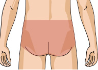 お尻(ケツ毛)
