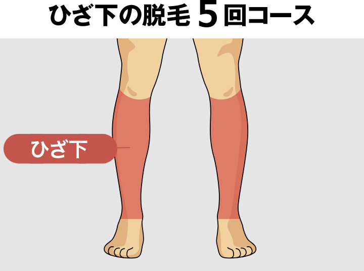 ひざ下(すね毛)の脱毛料金