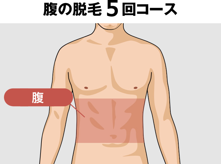 腹毛(ギャランドゥ)の脱毛料金