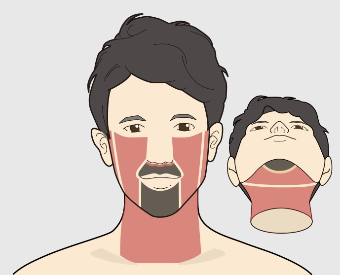 部位イメージ画像