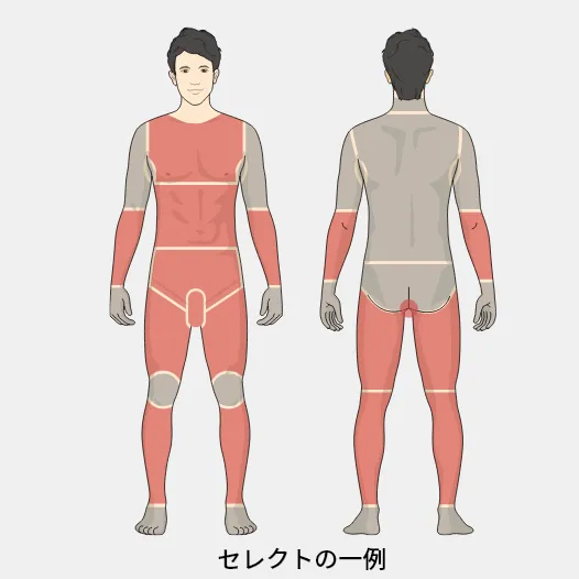 部位イメージ画像
