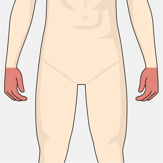 部位イメージ画像