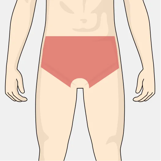 部位イメージ画像