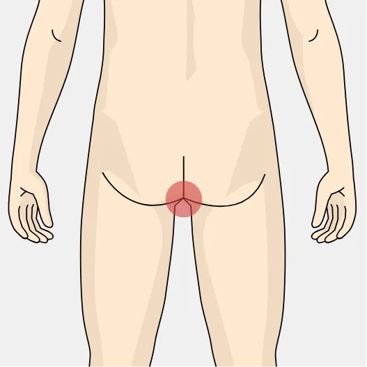 部位イメージ画像