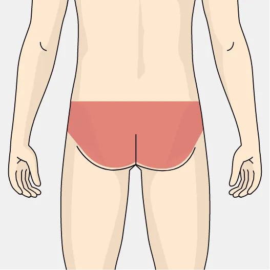 部位イメージ画像