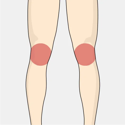 部位イメージ画像