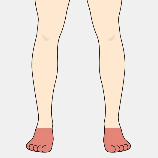 部位イメージ画像