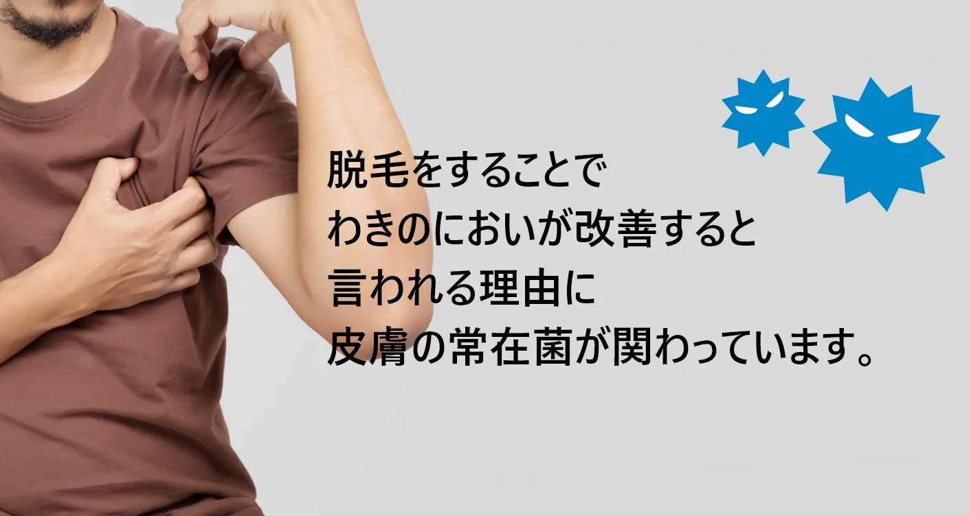 脱毛をすることでわきのにおいが改善すると言われる理由に皮膚の常在菌が関わっています。
