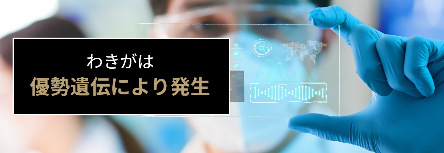 わきがは優性遺伝