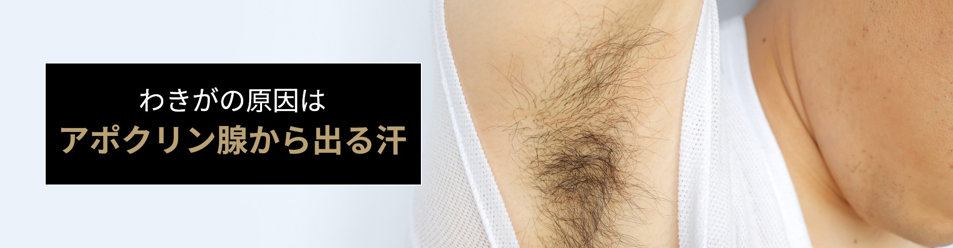 わきがはアポクリン汗腺が原因