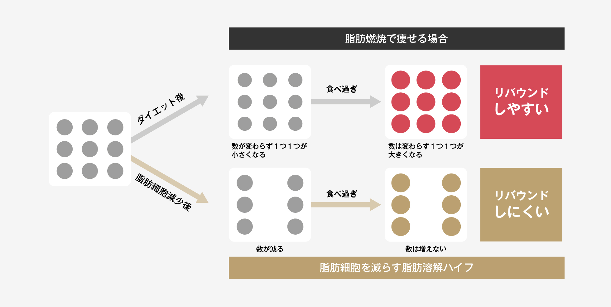脂肪溶解ハイフ